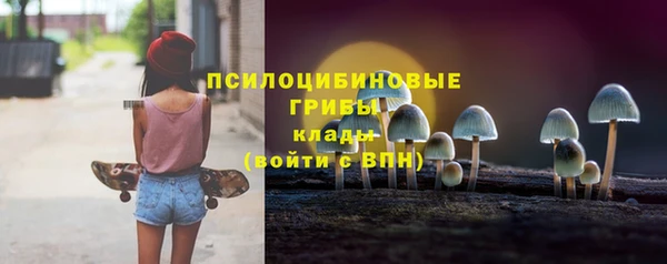 apvp Рославль