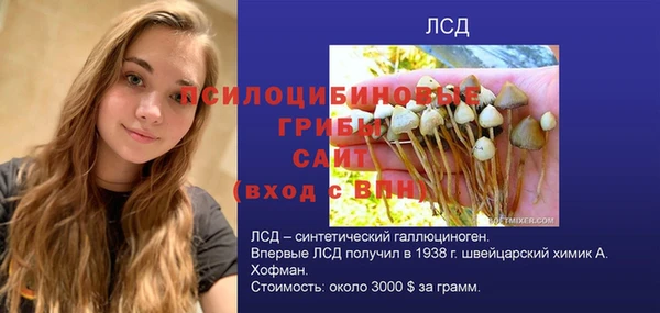 apvp Рославль