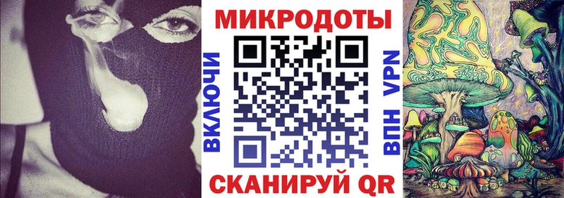 закладки  Торопец  Псилоцибиновые грибы прущие грибы 