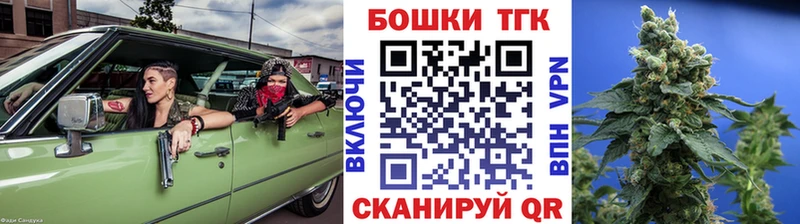 Бошки Шишки THC 21%  закладка  Торопец 
